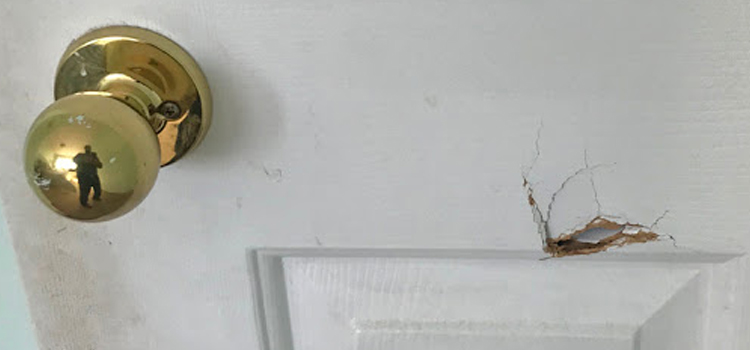 interior door hole repair Woodside