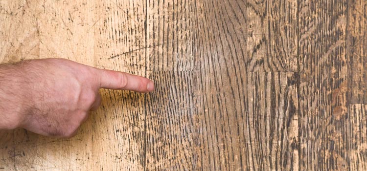 Wood Door Scratch Repair in Woodside